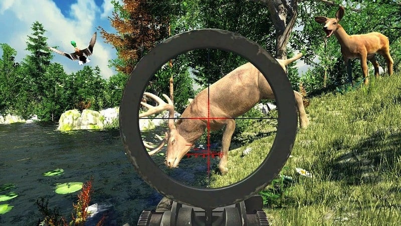 Gameplay do Hunting Simulator 4x4 com um animal abatido