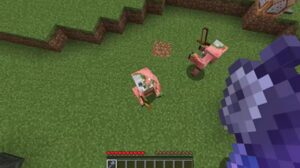 Minecraft 1.21.31.05 2