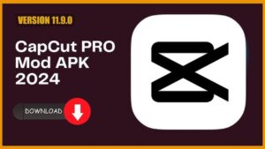 Capcut Pro 4