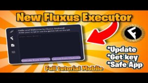 Fluxus Executor 2