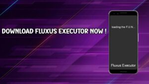 Fluxus Executor 4