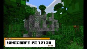 Minecraft 1.21.30 3