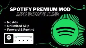 Spotify Premium 3