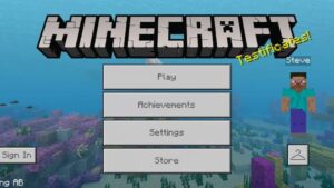 Minecraft 1.21.50.07 1